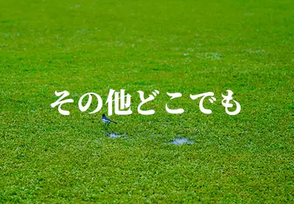 その他どこでも