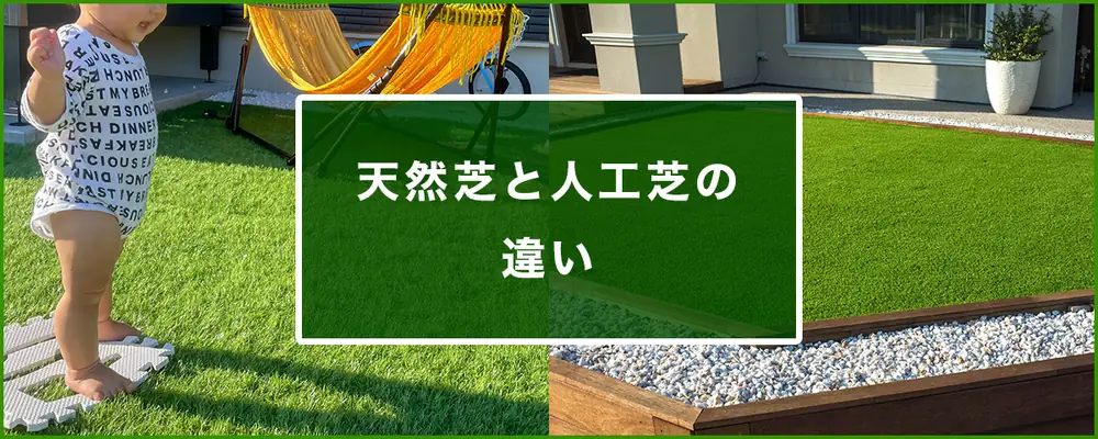 天然芝と人工芝の違いをイメージした写真