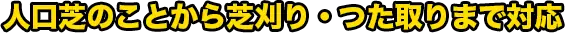 出張見積り無料