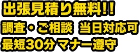 人口芝のことから芝刈り・つた取りまで対応
