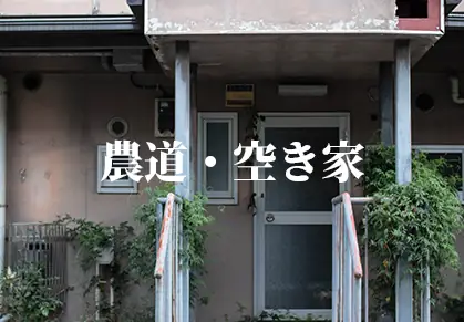 人工芝の施工事例6