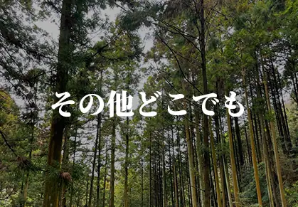 人工芝の施工事例8