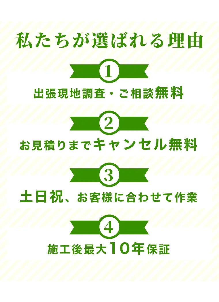 私たちが選ばれる理由
