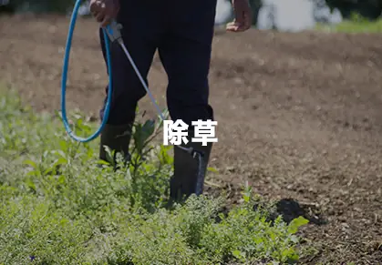 サービス5